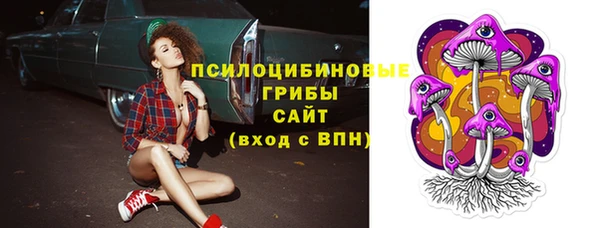 таблы Богородицк