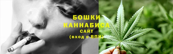 таблы Богородицк
