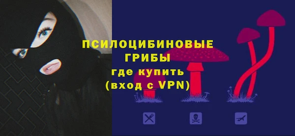 mix Богородск